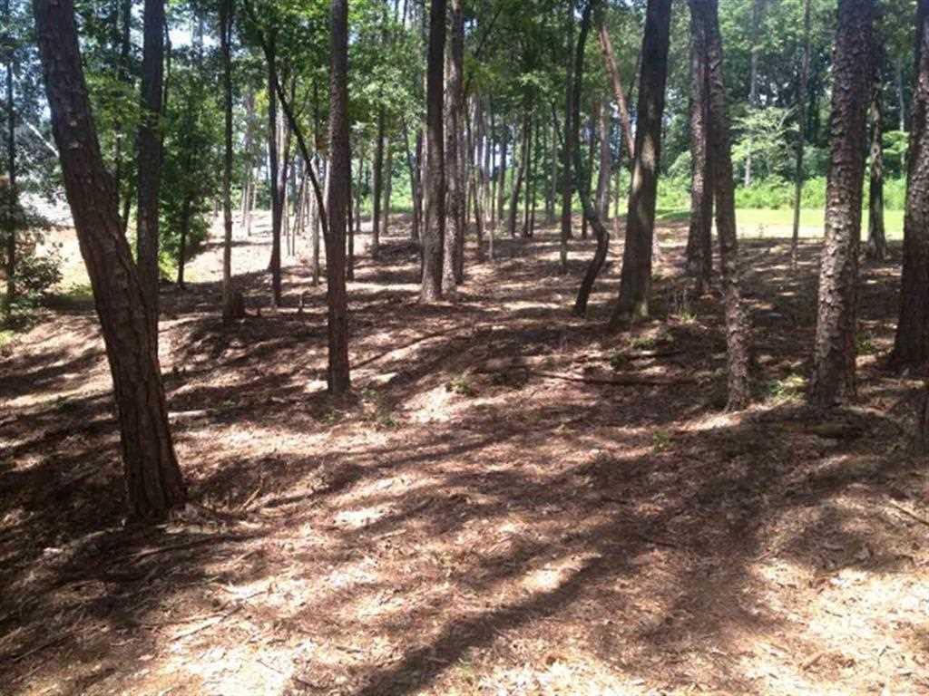 Lot 30 Laurel Ridge Seneca, SC 29678 - Photo 16 of 23 Gallery Image 16