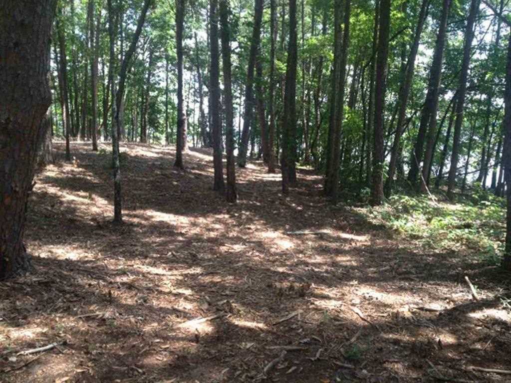 Lot 30 Laurel Ridge Seneca, SC 29678 - Photo 17 of 23 Gallery Image 17