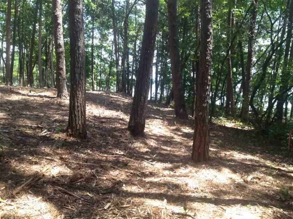 Lot 30 Laurel Ridge Seneca, SC 29678 - Photo 19 of 23 Gallery Image 19
