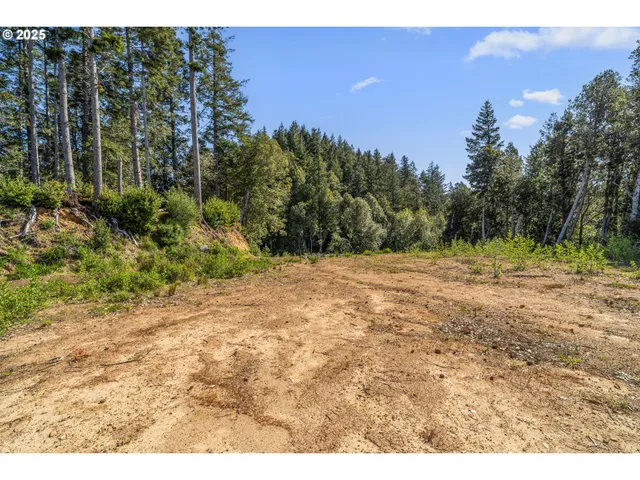 a view of a forest with mountains in the background