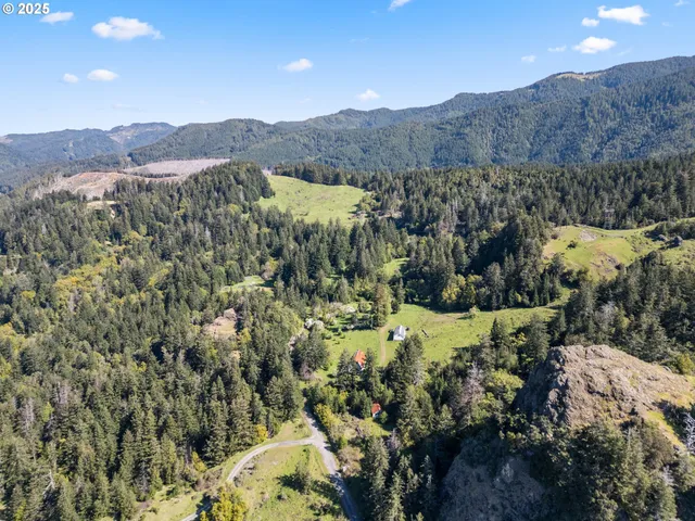a view of a garden with trees