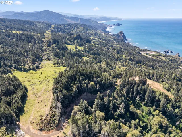 a view of a yard with plants and trees