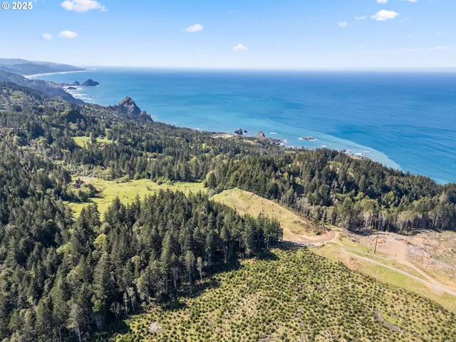 a view of a backyard of a house