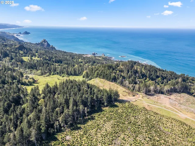 a view of a covered with snow in the background