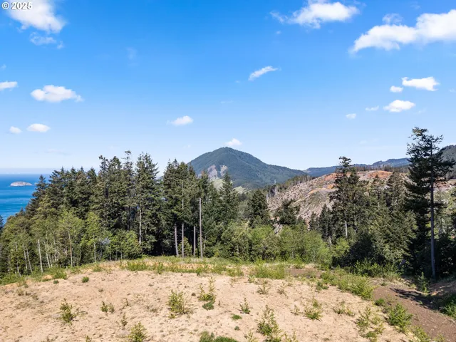 a view of a sky from a yard