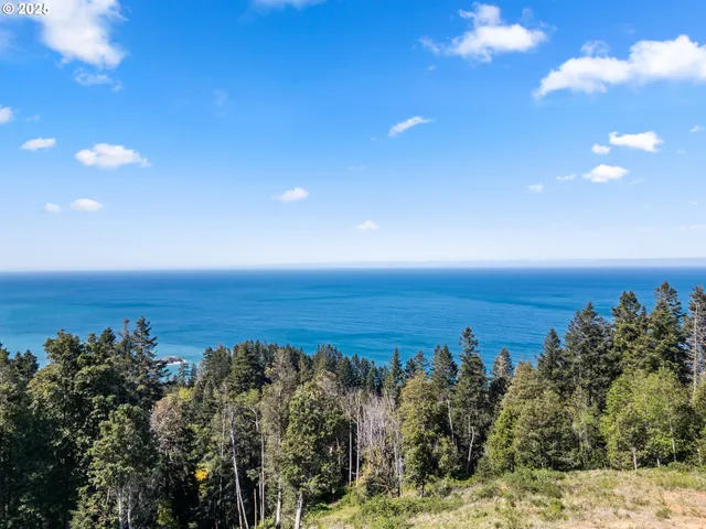 a view of a large body of water with a large tree