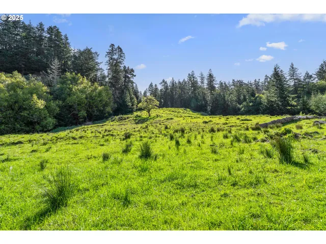 a view of a big yard with a house