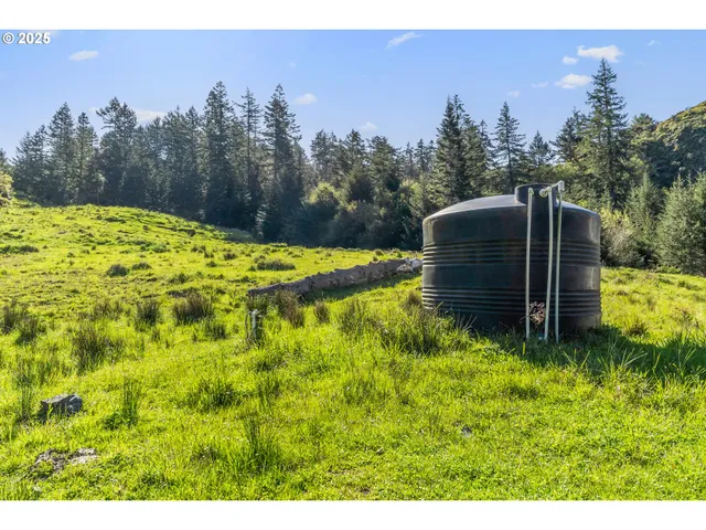 a view of a back yard