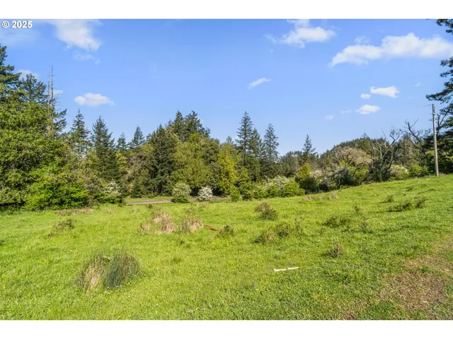 a view of a big yard with swimming pool and green space