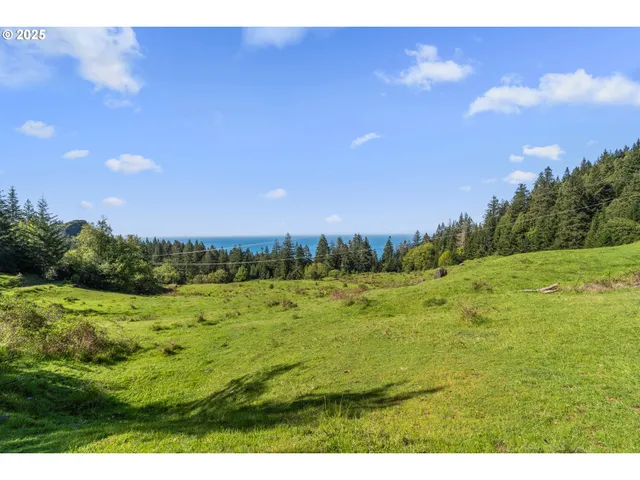 a view of an outdoor space and a yard