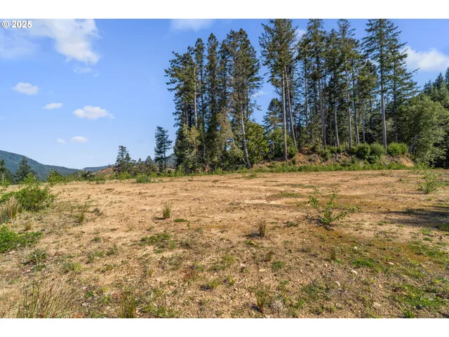 a view of a yard with a tree
