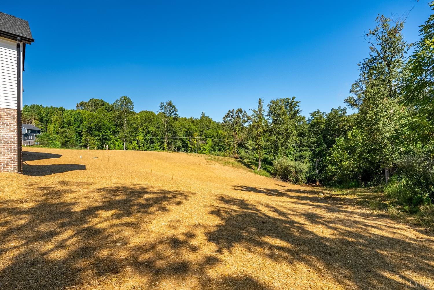 2967 Cottontown Road Forest, VA 24551 - Photo 50 of 54 Gallery Image 50