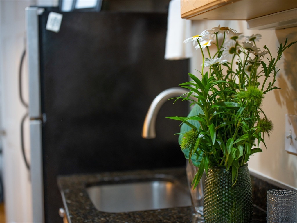 352 Tappan Street, Unit 1 Brookline, MA 02445 - Photo 14 of 42 a vase of flowers sitting on a table