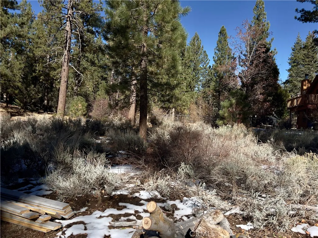 1 Canyon Road Fawnskin, CA 92333 - Photo 7 of 9