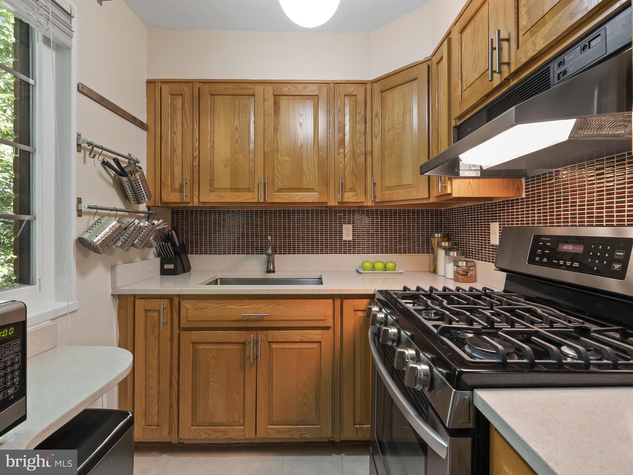 8722 Manchester Road, Unit 8 Silver Spring, MD 20901 - Photo 11 of 23 New granite countertops