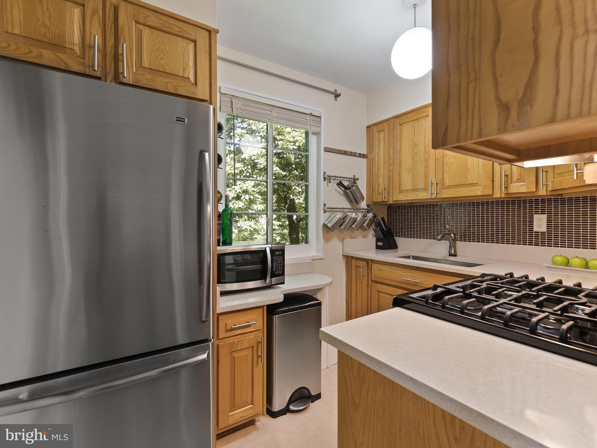 8722 Manchester Road, Unit 8 Silver Spring, MD 20901 - Photo 10 of 23 Renovated kitchen