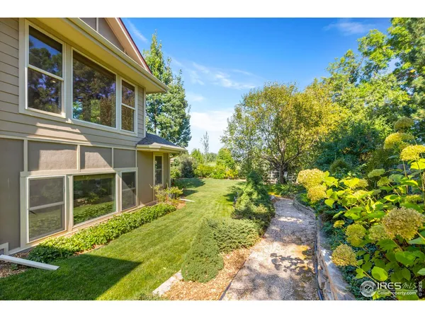 a view of a yard with a tree