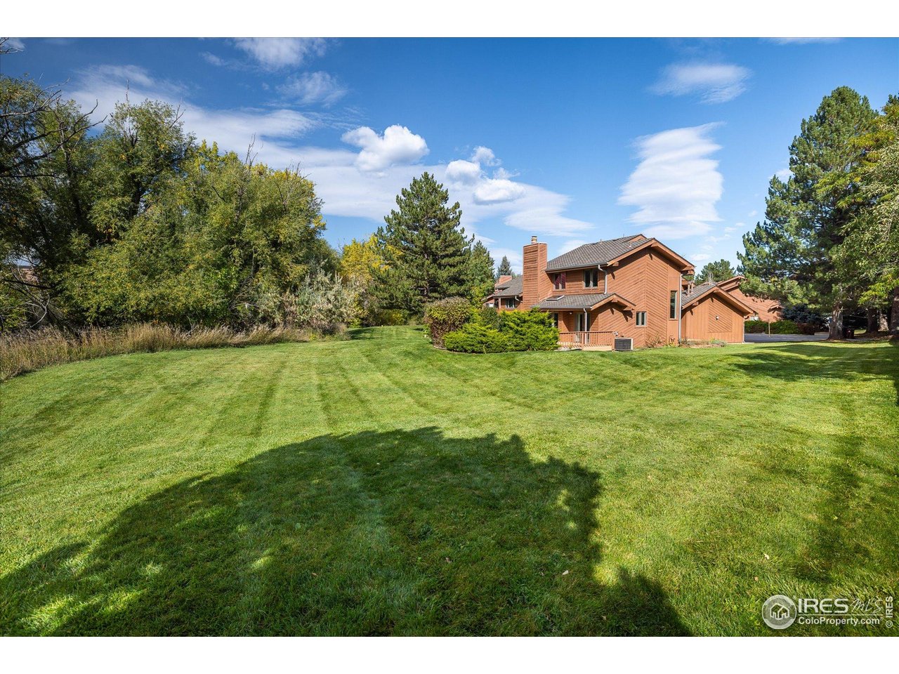1209 Harrison Court Boulder, CO 80303 - Photo 4 of 35 a view of a big yard with potted plants and large tree