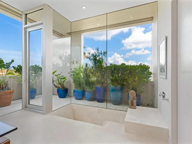a view of a potted plants on a sidewalk