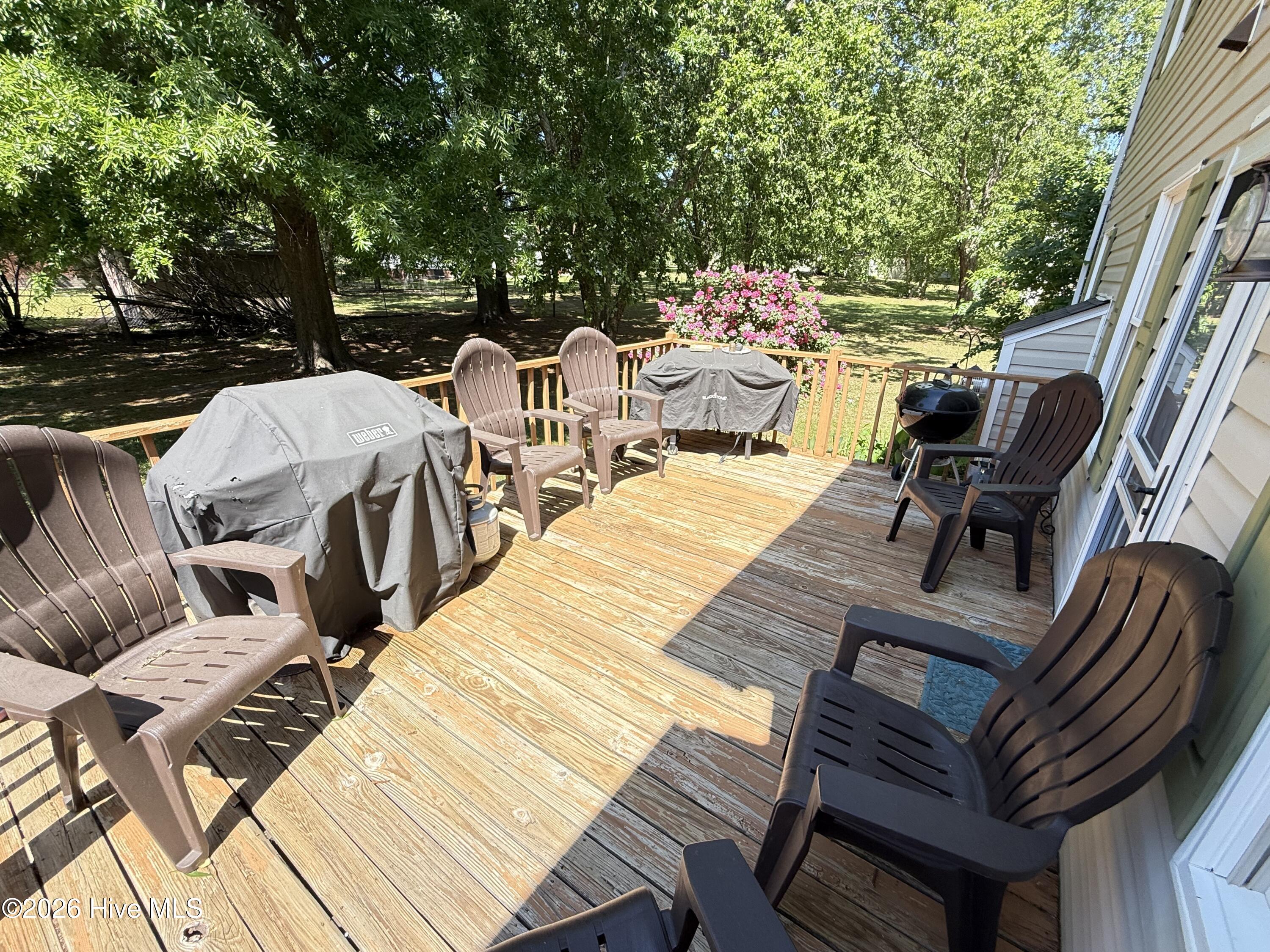 103 Ridgecrest Drive Mount Olive, NC 28365 - Photo 55 of 61 IMG_7037