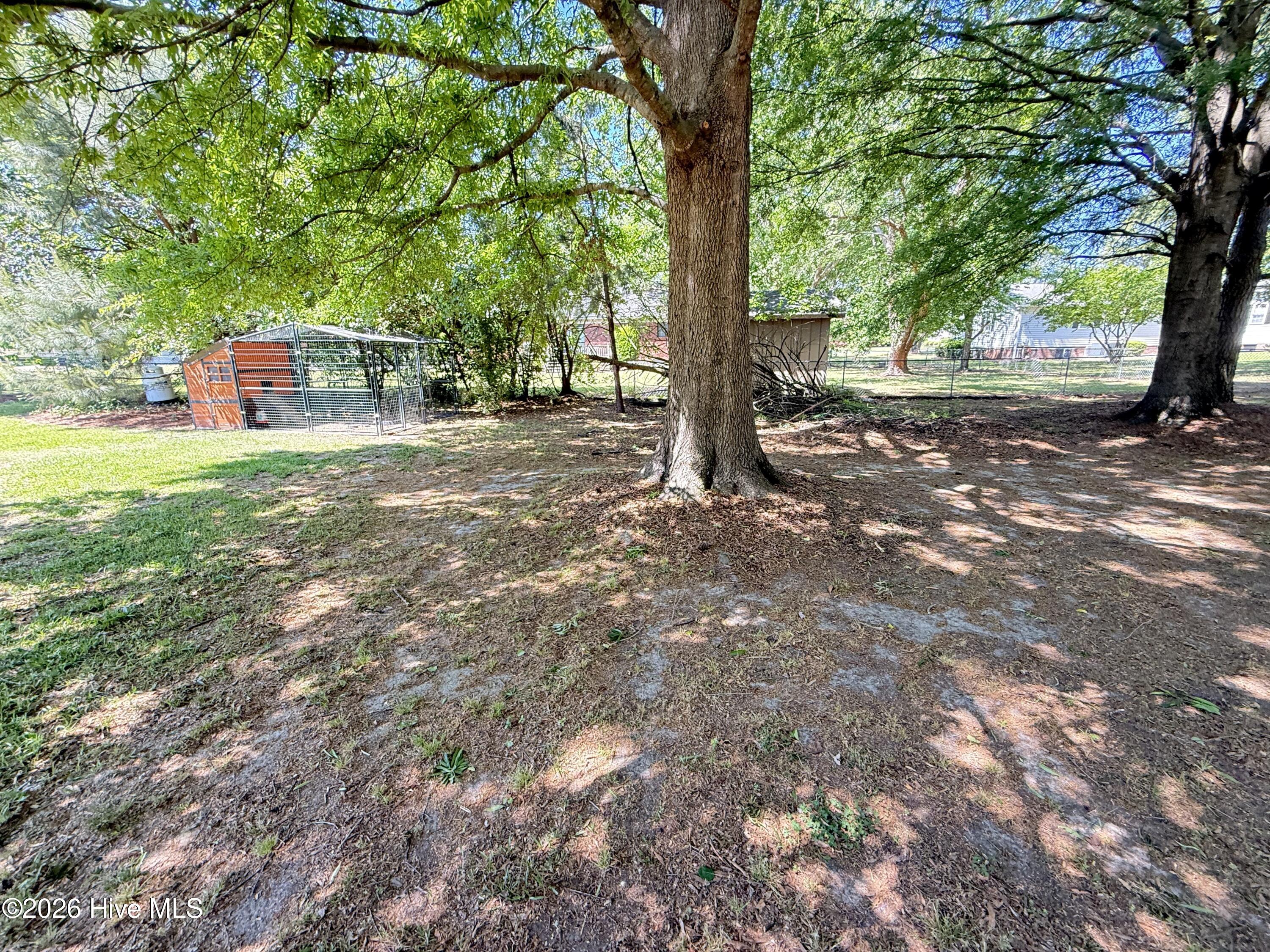 103 Ridgecrest Drive Mount Olive, NC 28365 - Photo 60 of 61 IMG_7042