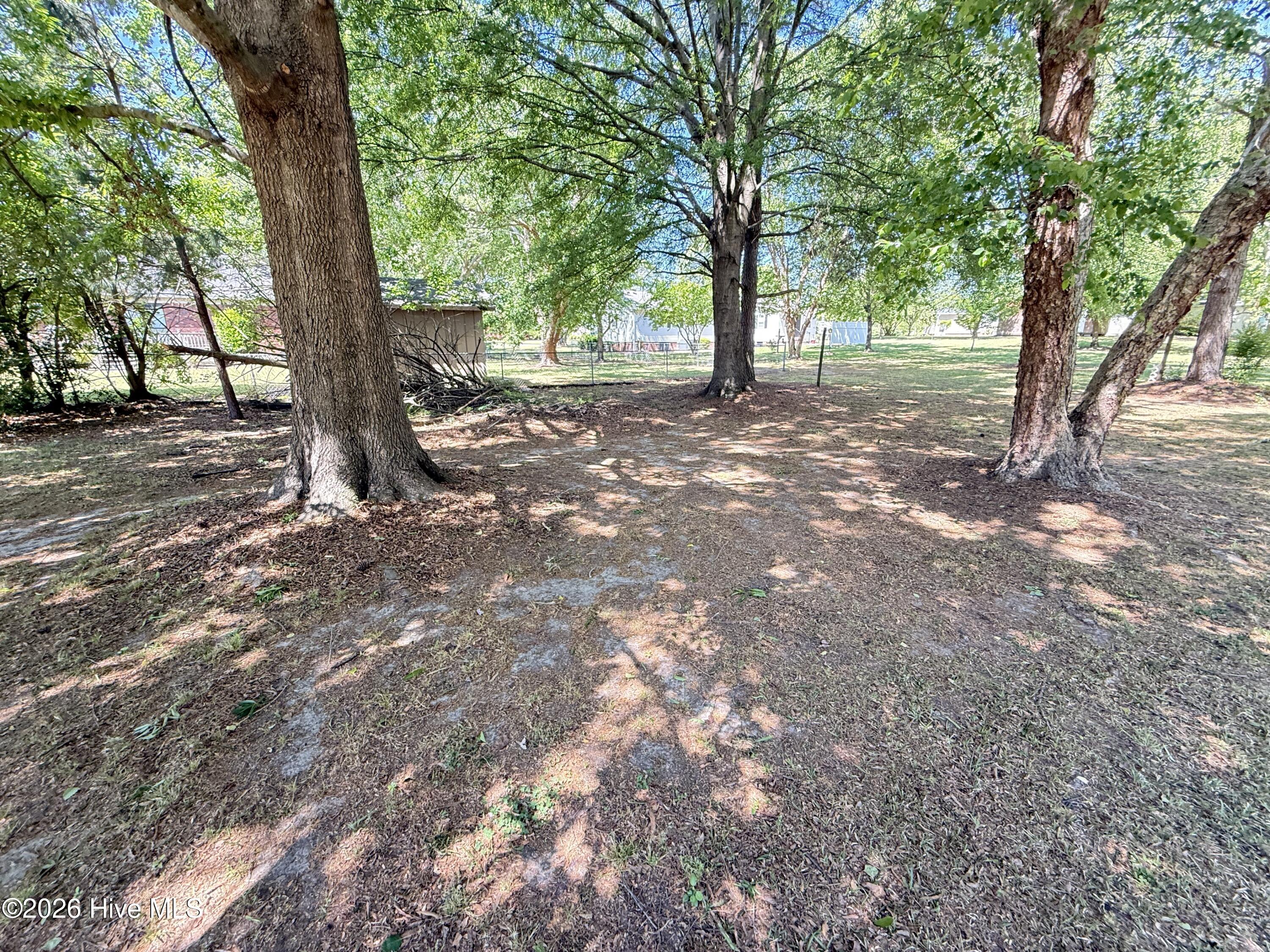 103 Ridgecrest Drive Mount Olive, NC 28365 - Photo 61 of 61 IMG_7043