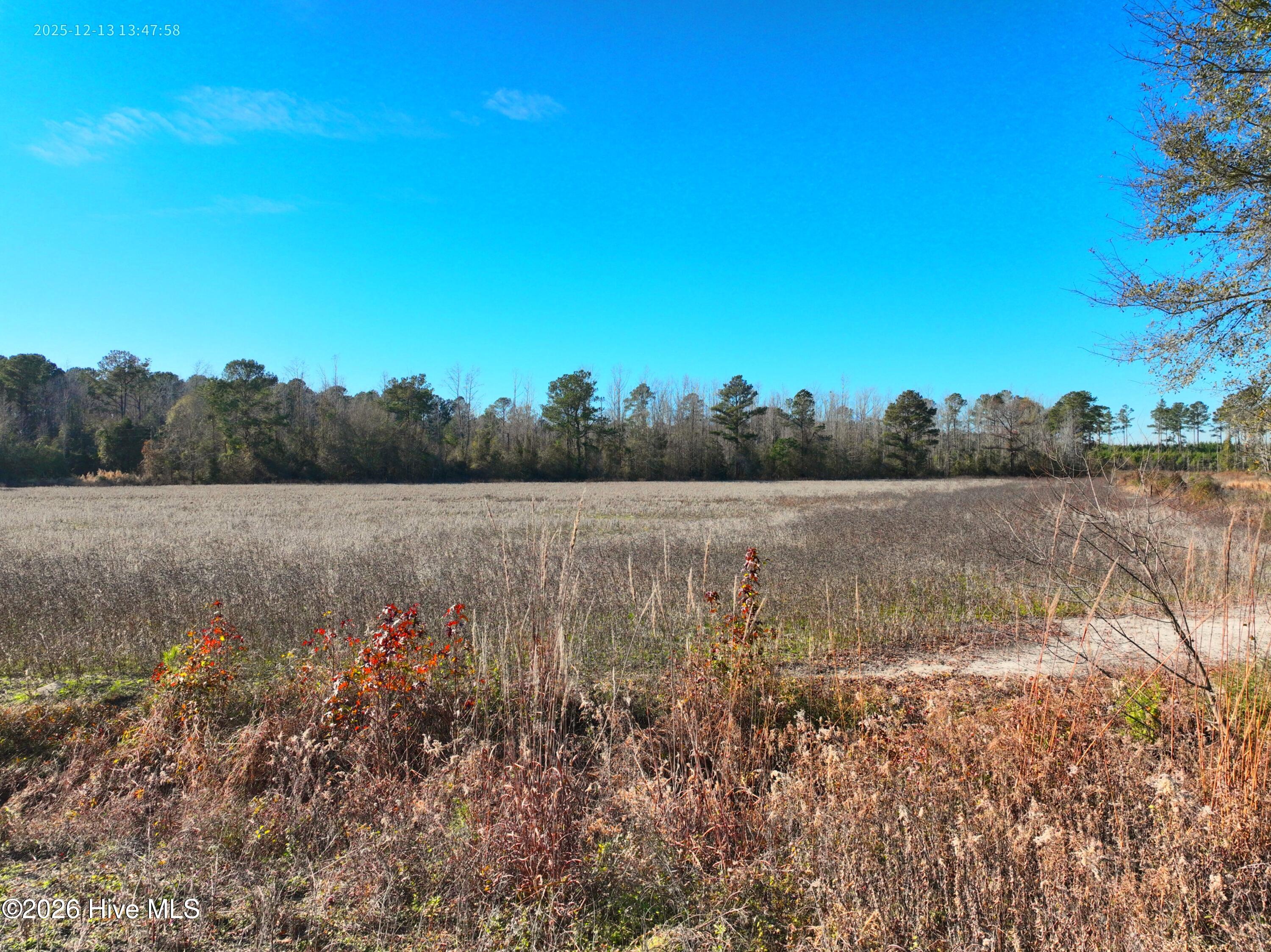 15.63 Croomsbridge Road Burgaw, NC 28425 - Photo 10 of 13 Copy of DJI_20251213134758_0038_V