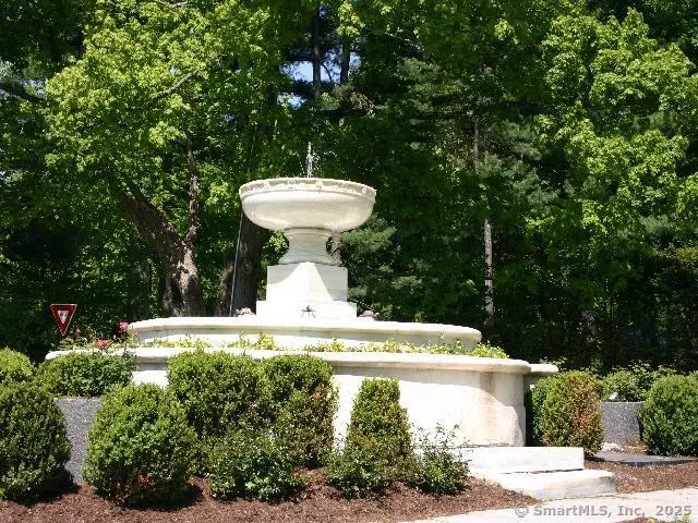 a view of a fountain in the backyard of house