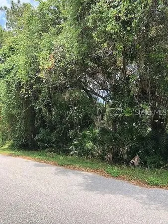 a view of a yard with a trees