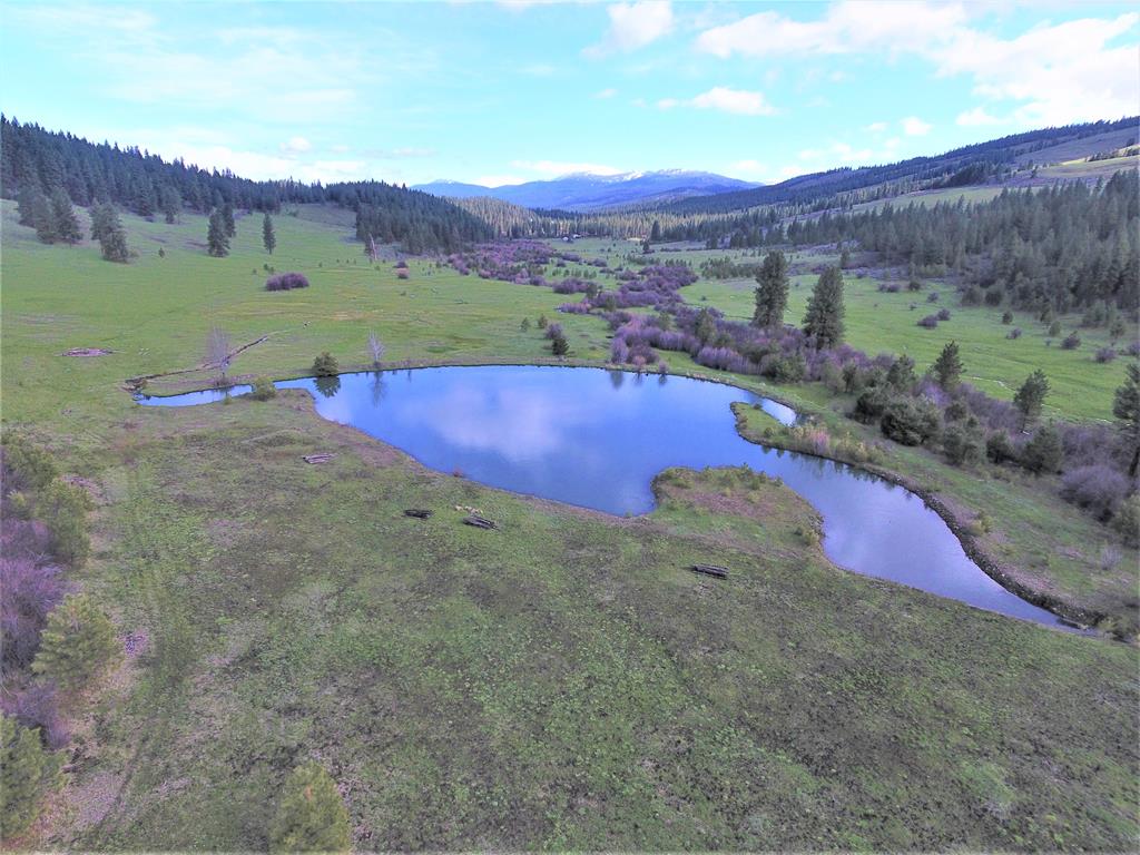 3000 Fish Lake Road New Meadows, ID 83654 - Photo 32 of 67