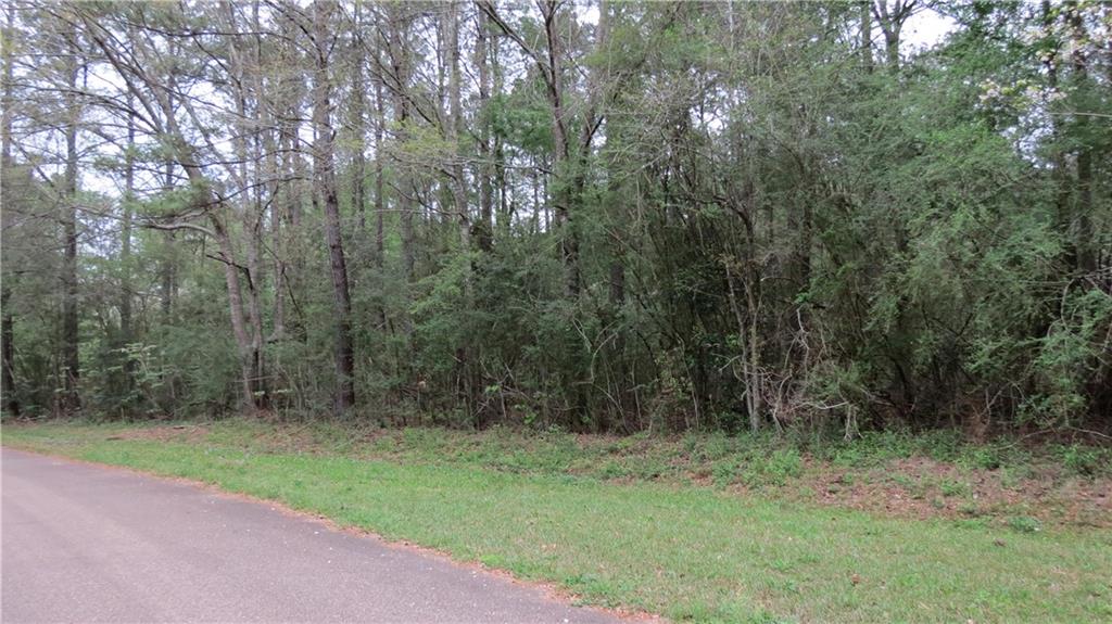 0 Camus Lane Covington, LA 70435 - Photo 6 of 7
