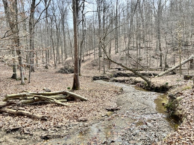 0 Long Lake Road Nashville, IN 47448 - Photo 12 of 39 Gallery Image 12