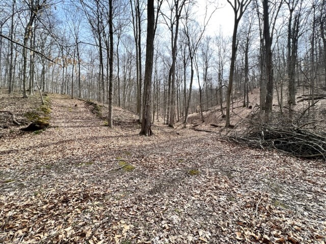 0 Long Lake Road Nashville, IN 47448 - Photo 13 of 39 Gallery Image 13