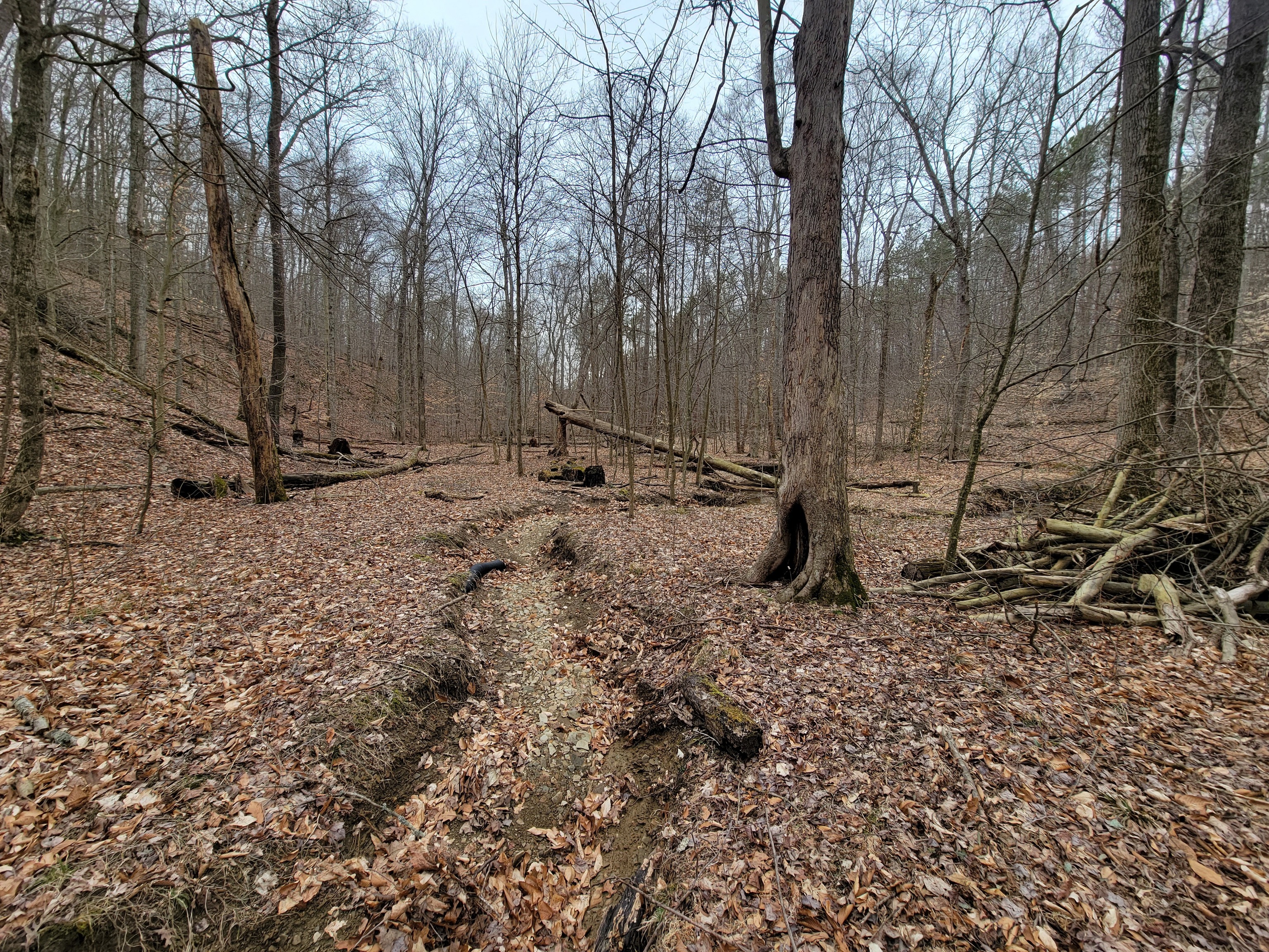 0 Long Lake Road Nashville, IN 47448 - Photo 14 of 39 Gallery Image 14