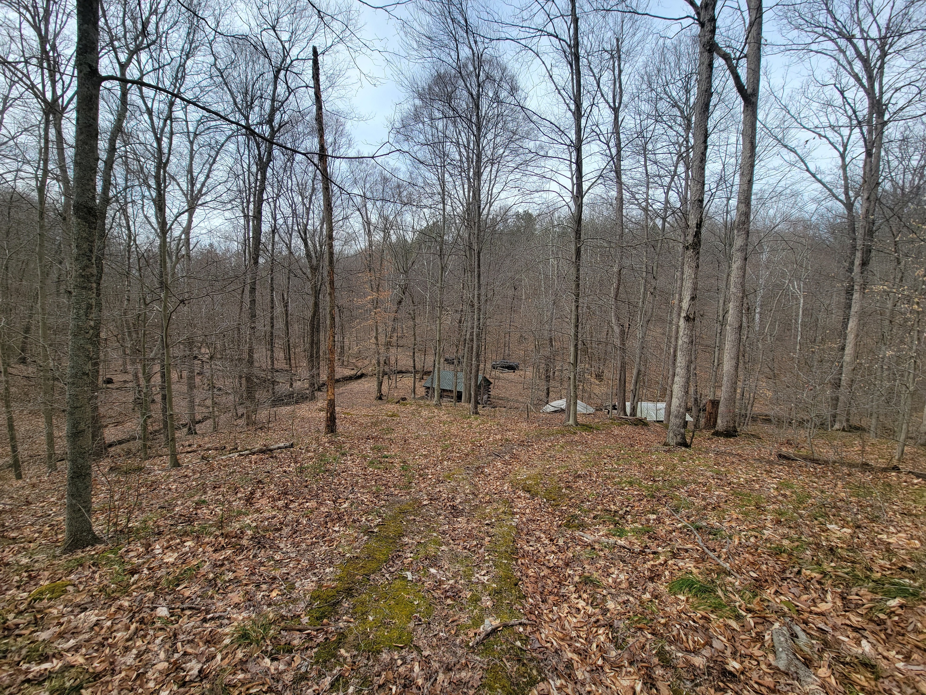 0 Long Lake Road Nashville, IN 47448 - Photo 15 of 39 Gallery Image 15