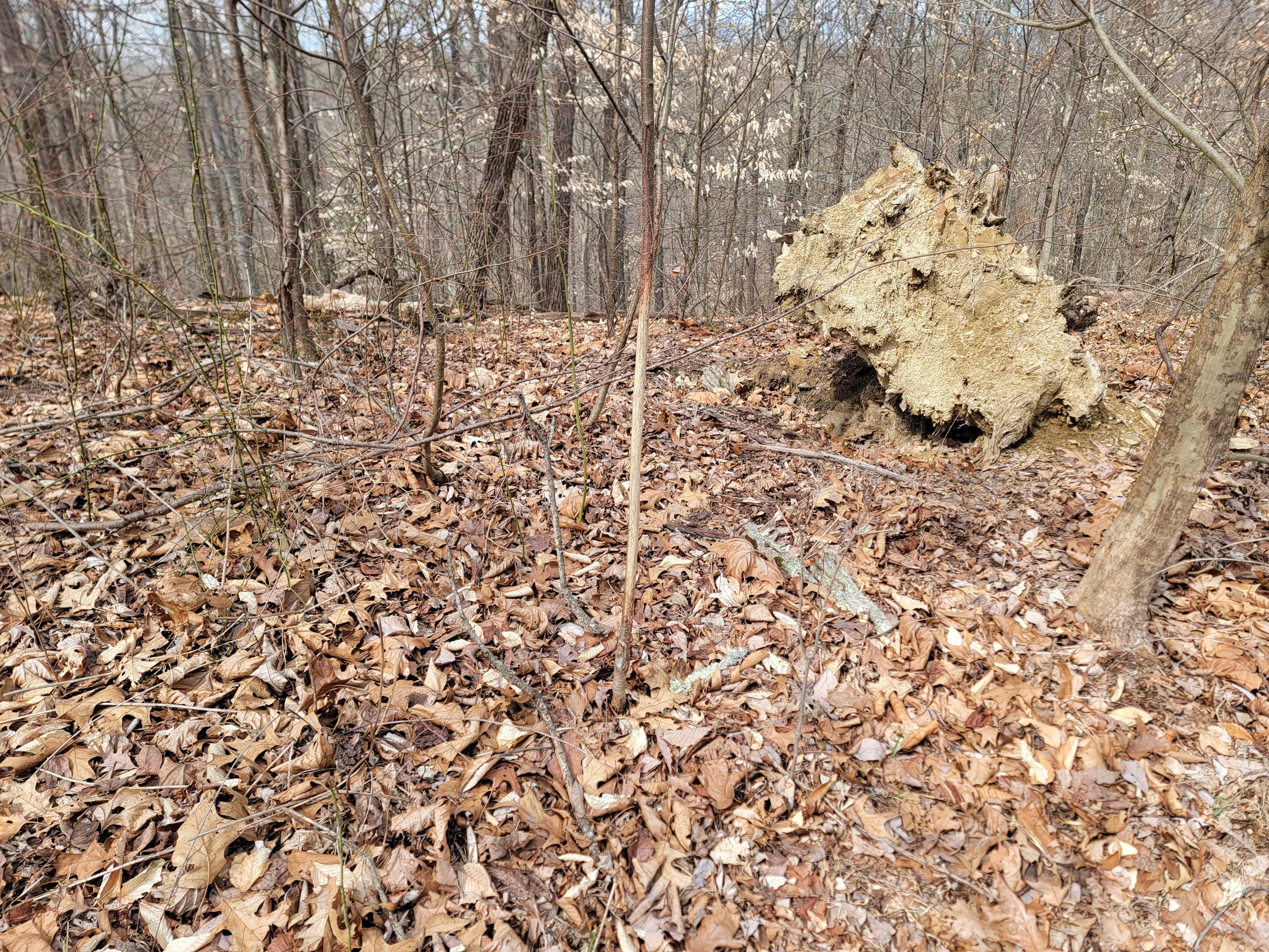 0 Long Lake Road Nashville, IN 47448 - Photo 21 of 39 Gallery Image 21