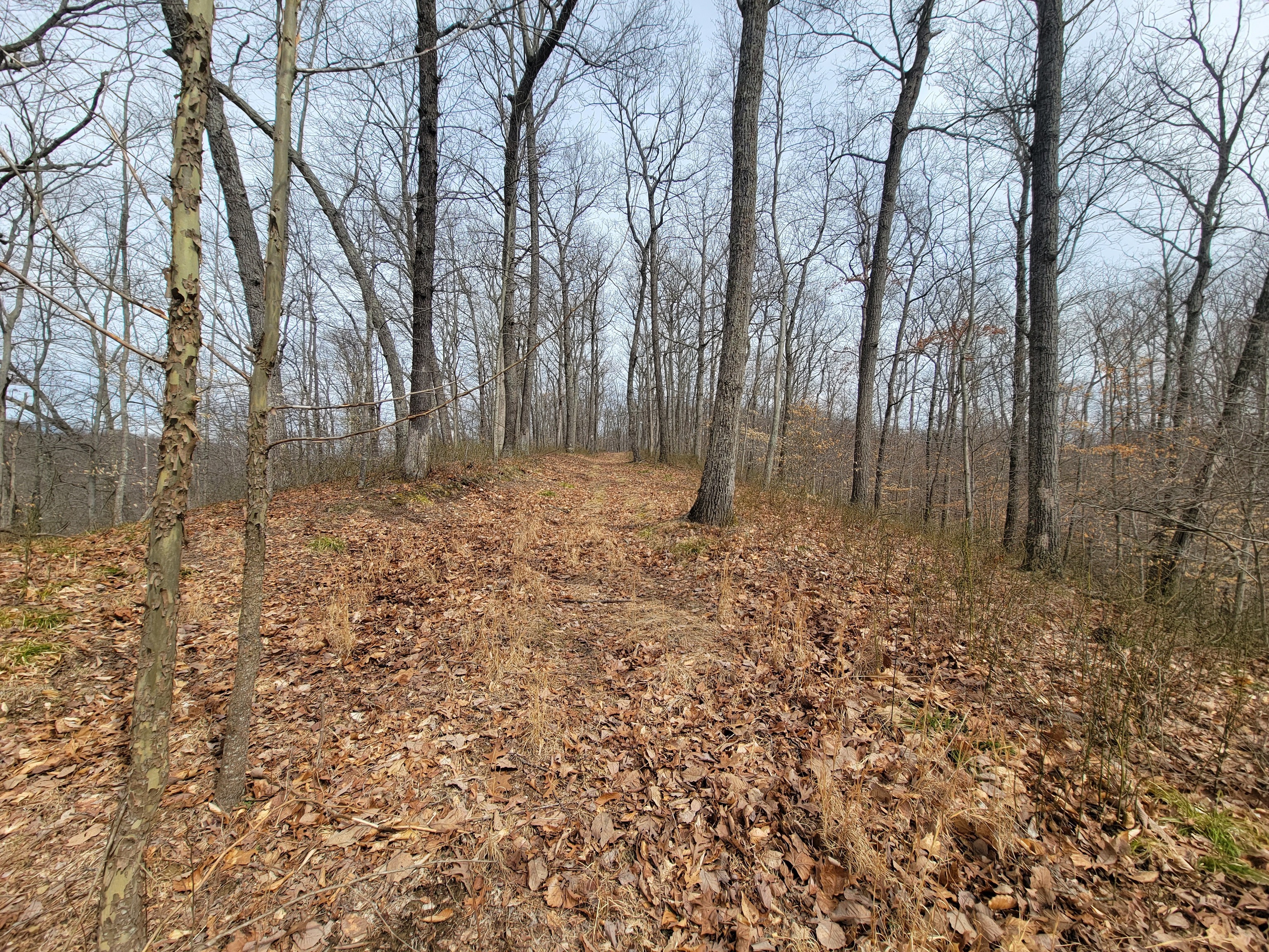 0 Long Lake Road Nashville, IN 47448 - Photo 23 of 39 Gallery Image 23