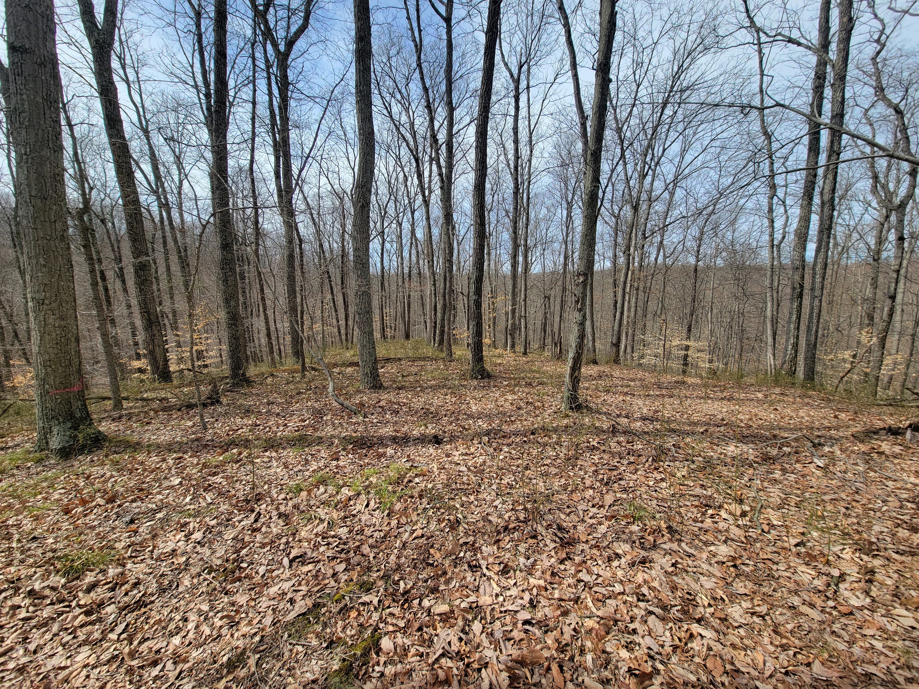0 Long Lake Road Nashville, IN 47448 - Photo 25 of 39 Gallery Image 25