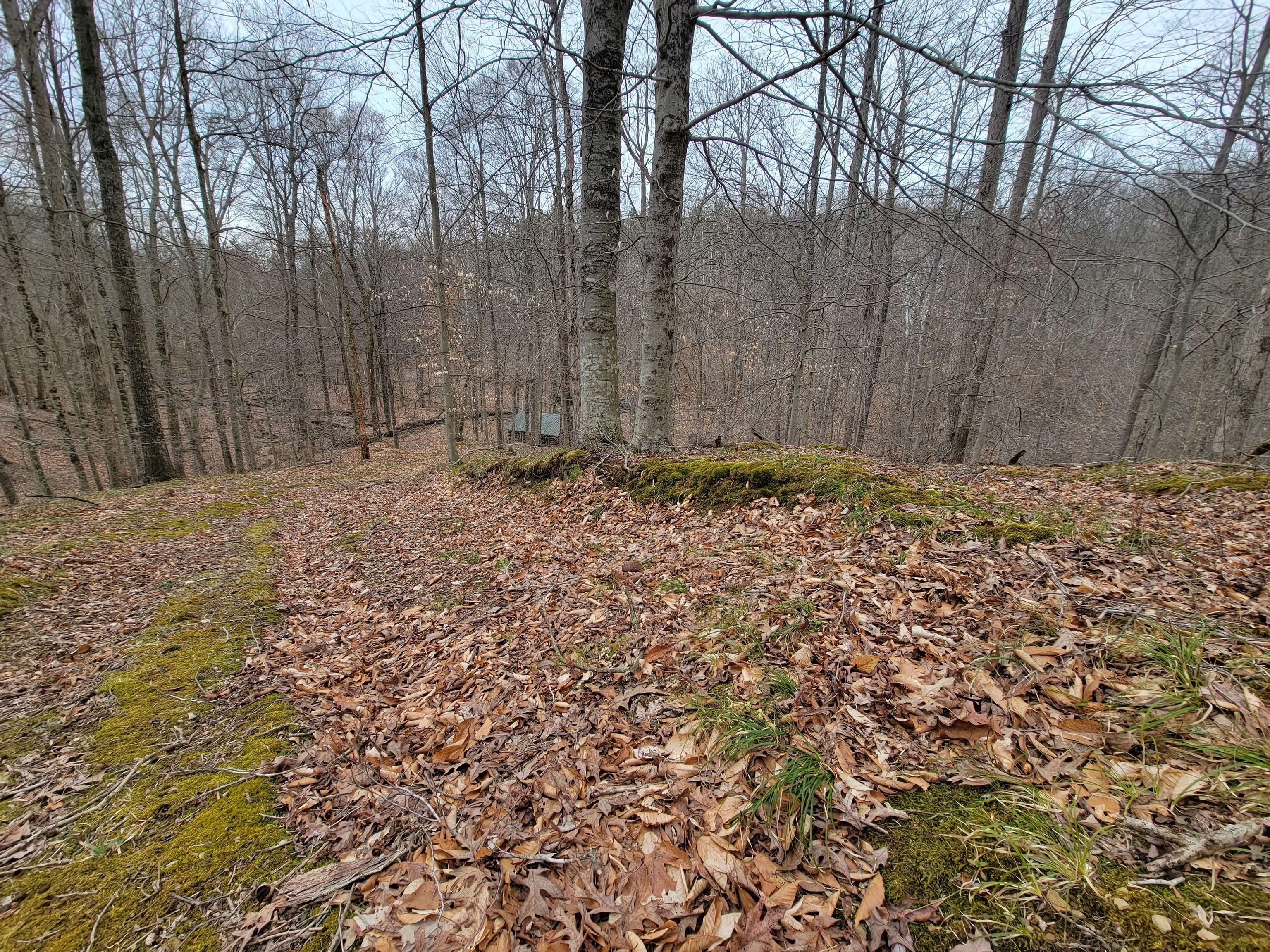 0 Long Lake Road Nashville, IN 47448 - Photo 31 of 39 Gallery Image 31