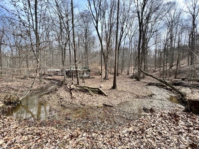 0 Long Lake Road Nashville, IN 47448 - Photo 4 of 39 Gallery Image 4