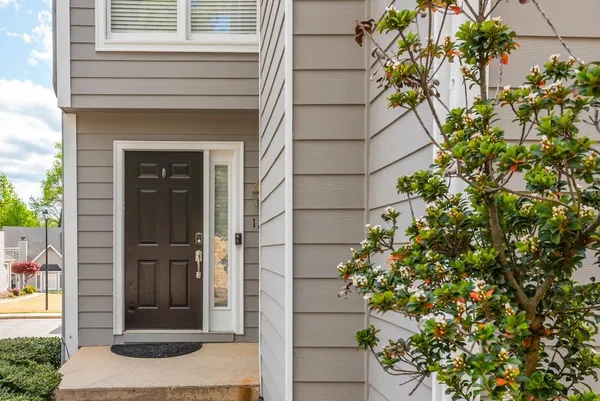a potted plant sitting in front of a door