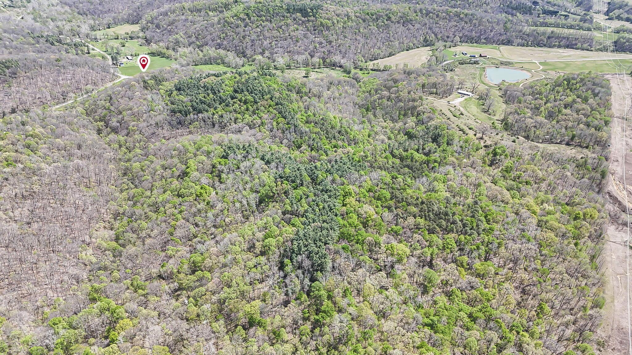 30083 Goosecreek Road McArthur, OH 45651 - Photo 11 of 29 11-web-or-mls-DJI_20260422013037_0052_D