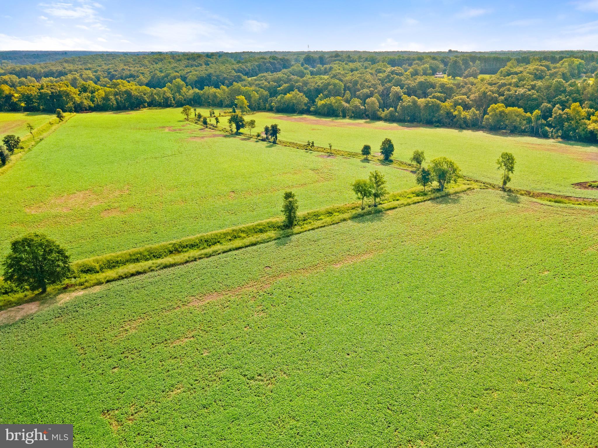 6518 Sumerduck Road Remington, VA 22734 - Photo 11 of 23