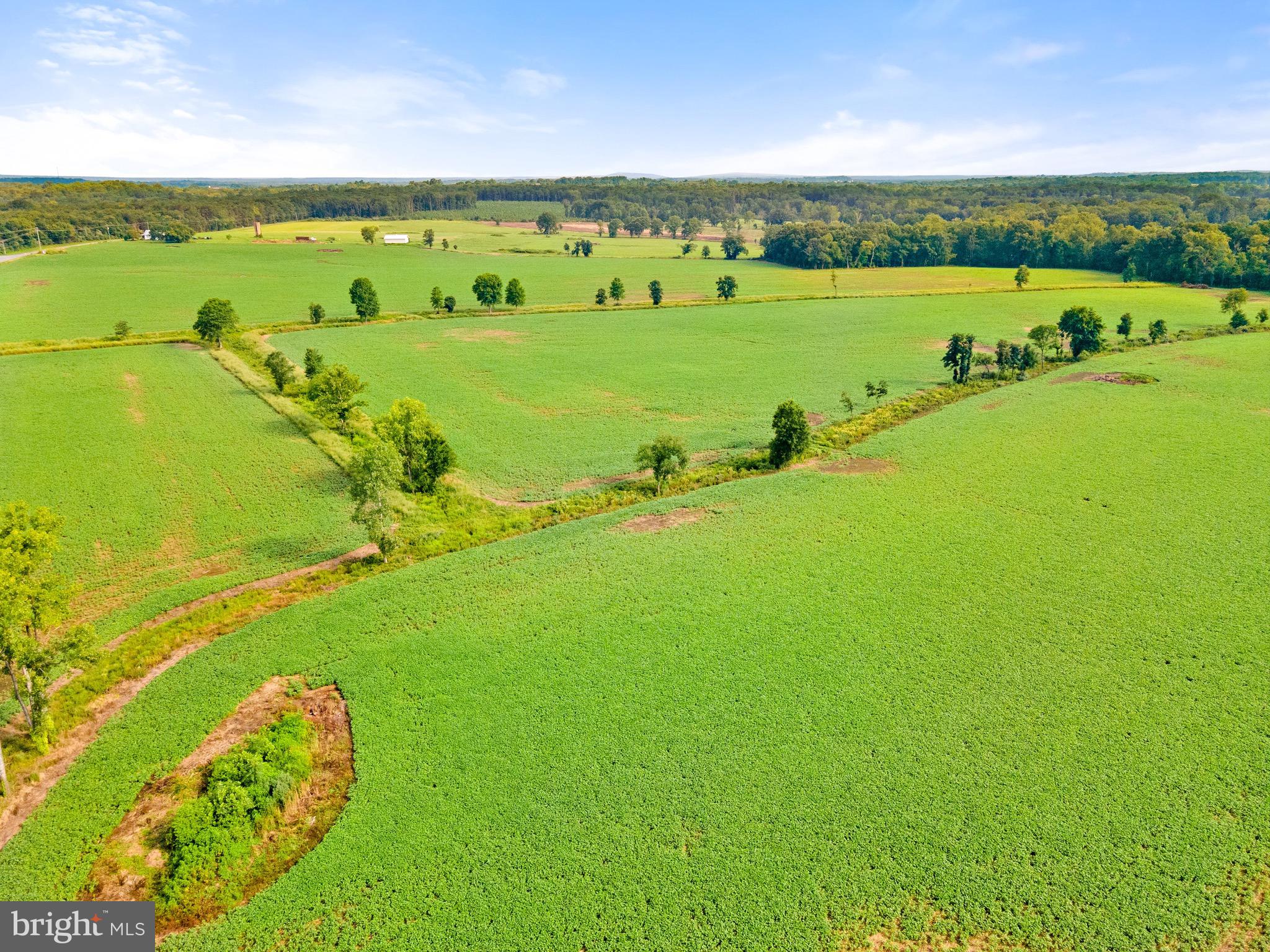 6518 Sumerduck Road Remington, VA 22734 - Photo 12 of 23