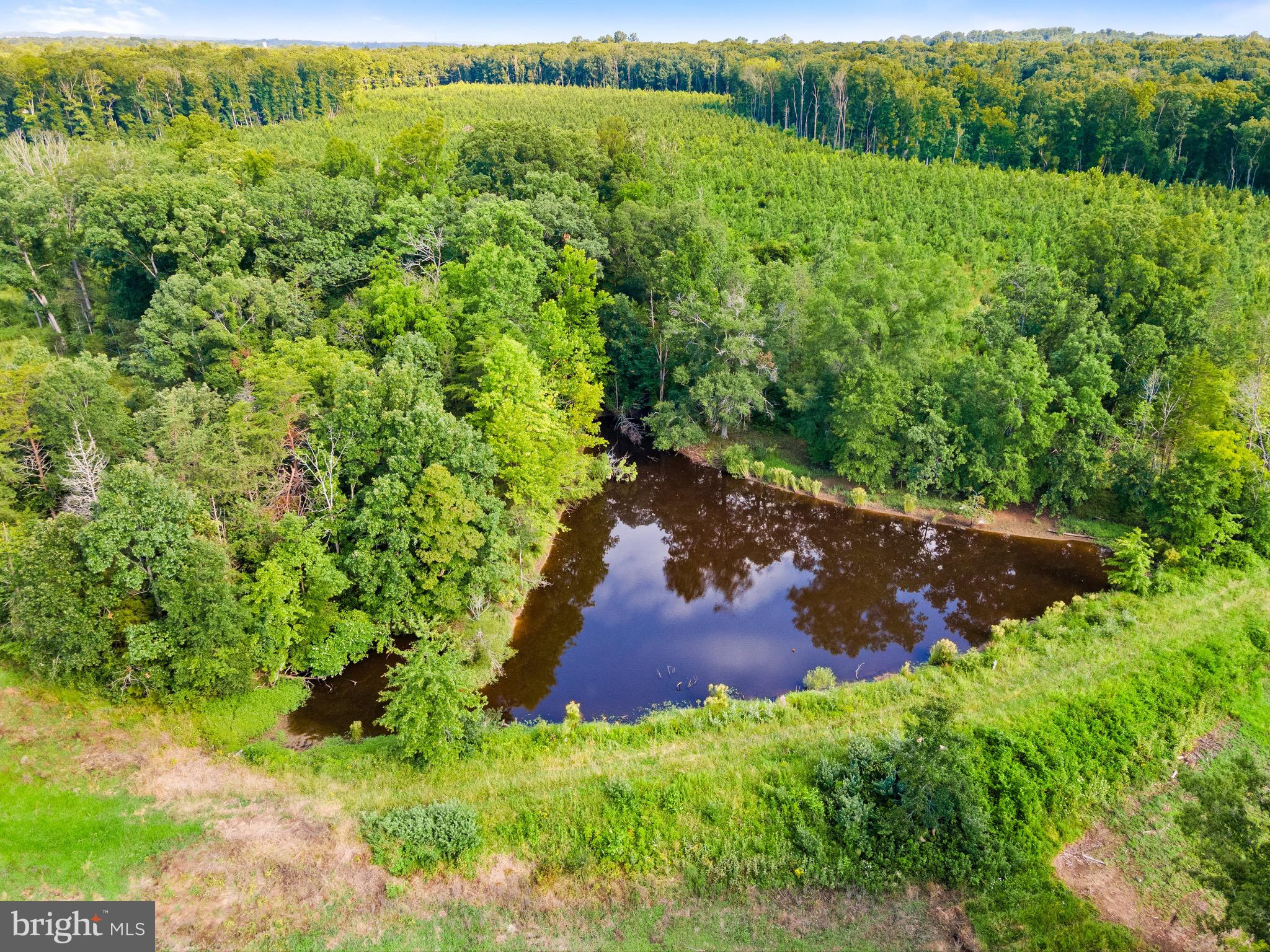 6518 Sumerduck Road Remington, VA 22734 - Photo 14 of 23