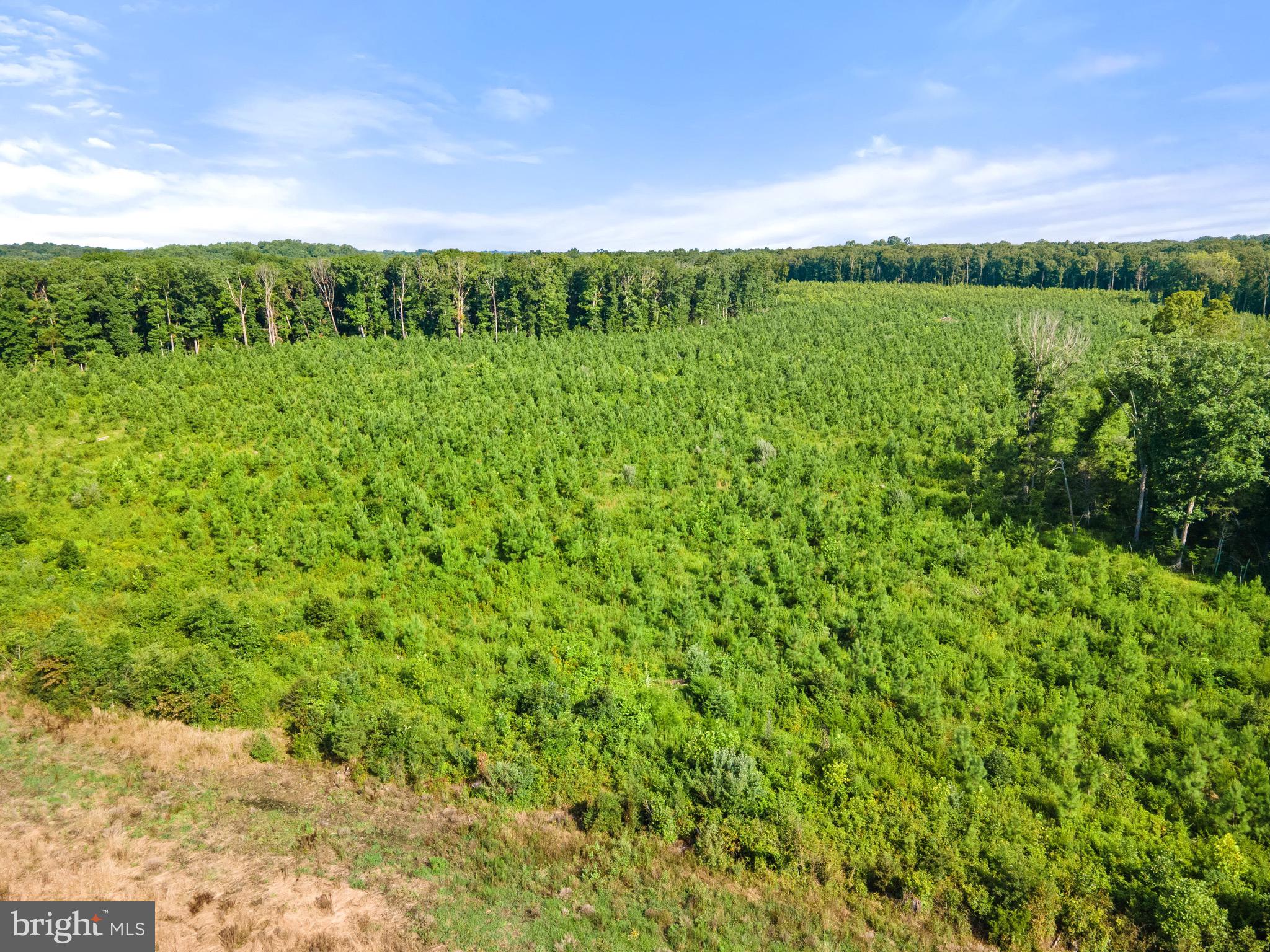 6518 Sumerduck Road Remington, VA 22734 - Photo 15 of 23