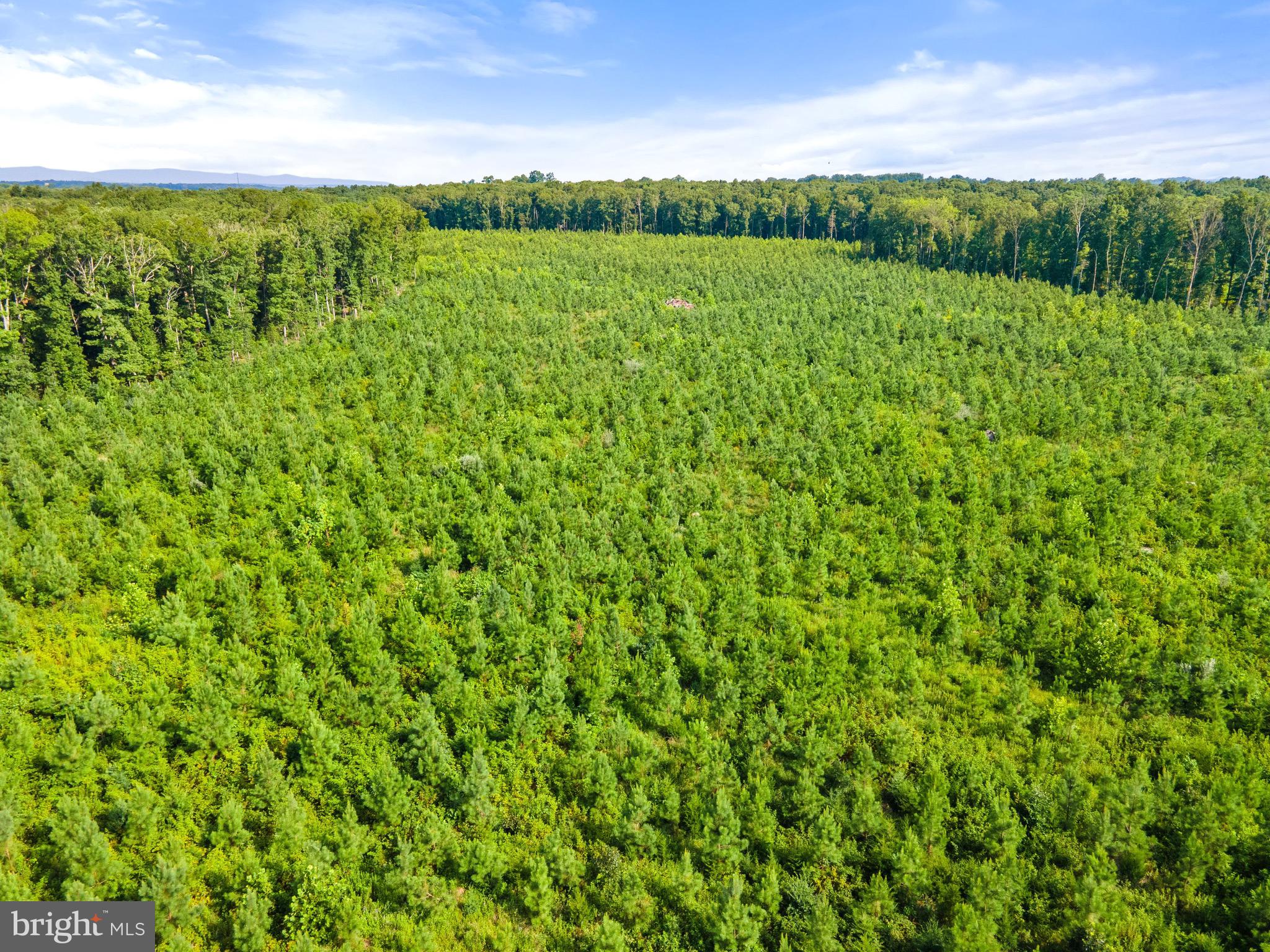 6518 Sumerduck Road Remington, VA 22734 - Photo 16 of 23