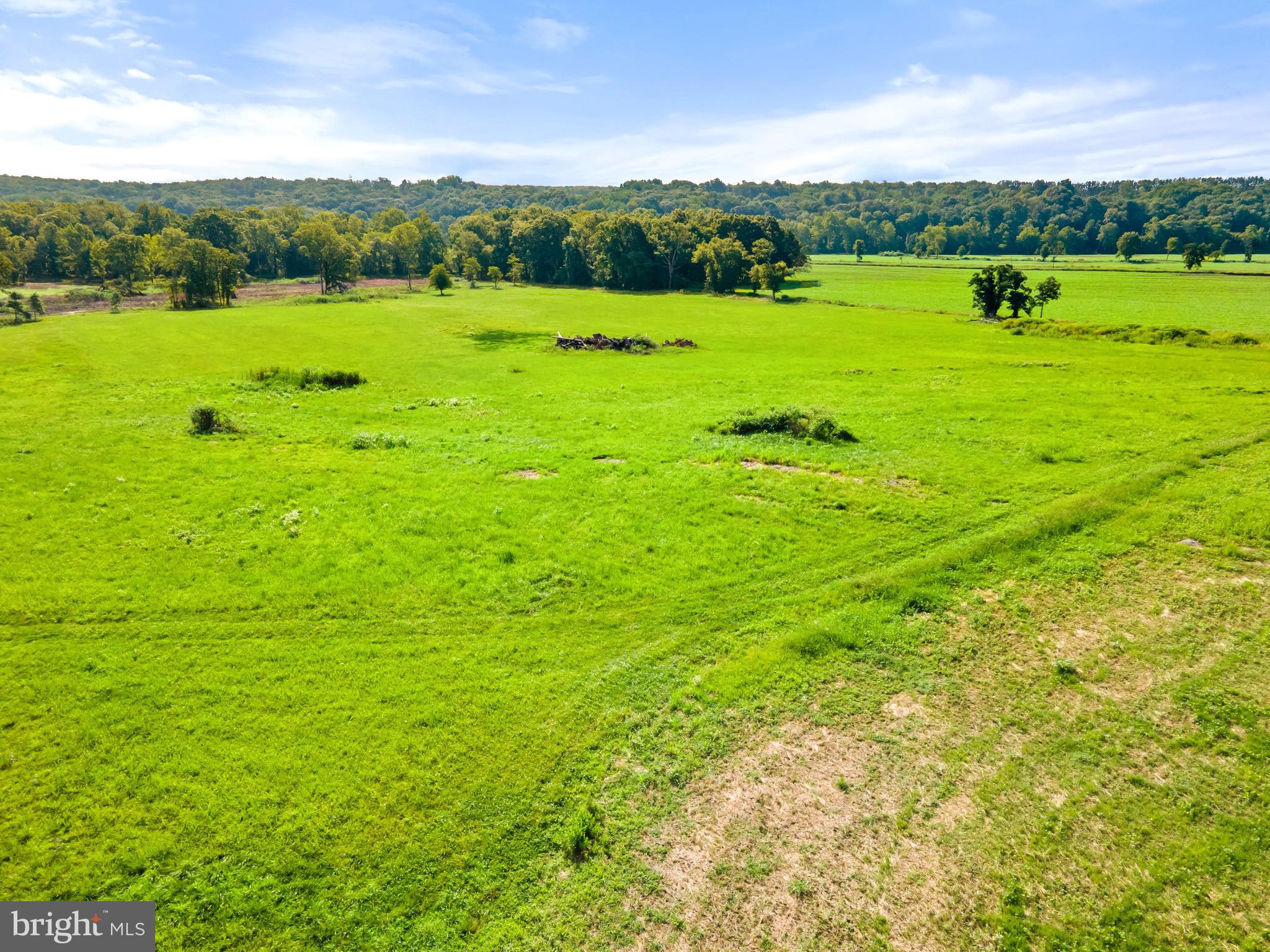 6518 Sumerduck Road Remington, VA 22734 - Photo 19 of 23