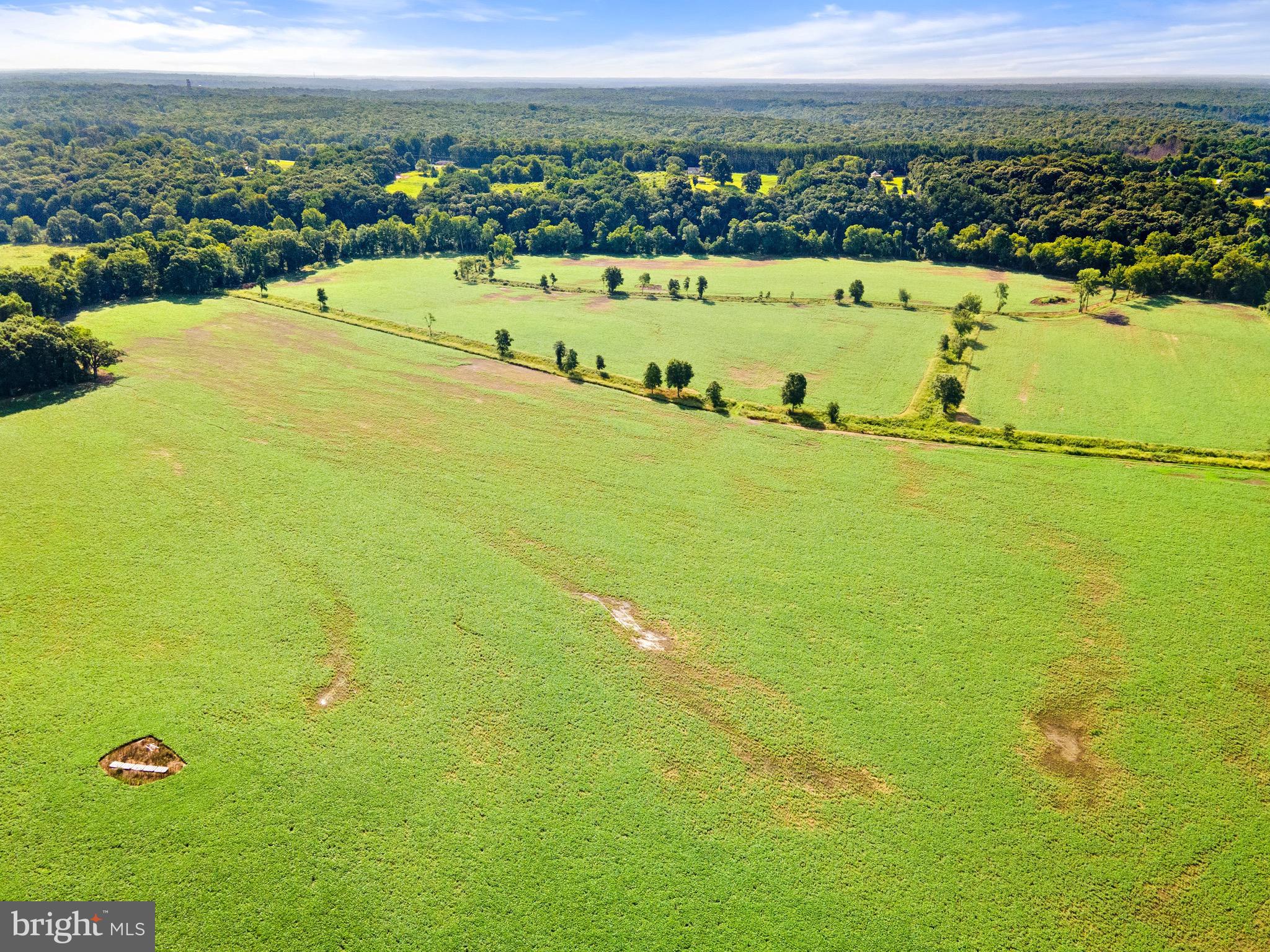 6518 Sumerduck Road Remington, VA 22734 - Photo 21 of 23