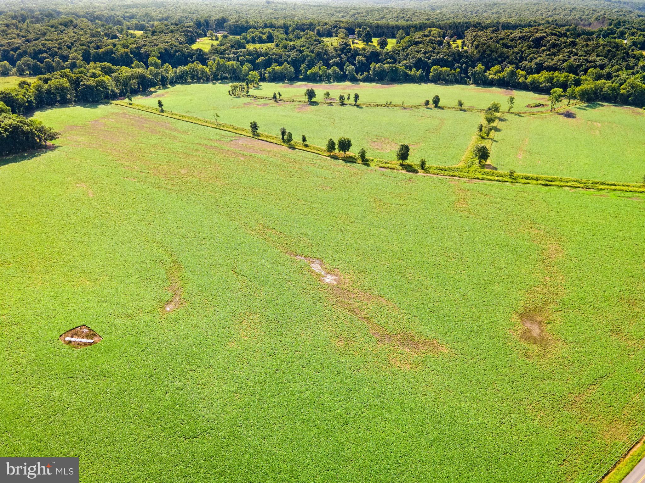 6518 Sumerduck Road Remington, VA 22734 - Photo 22 of 23